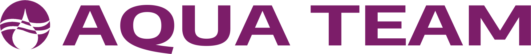 website logo